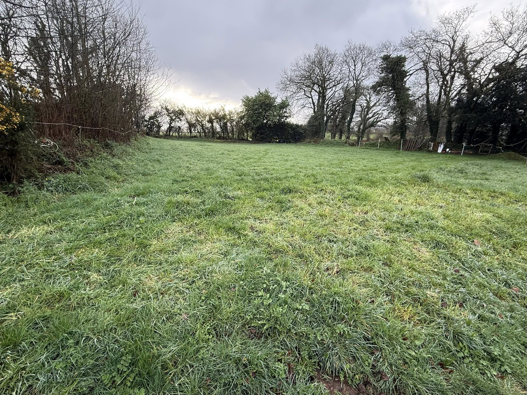 before-image