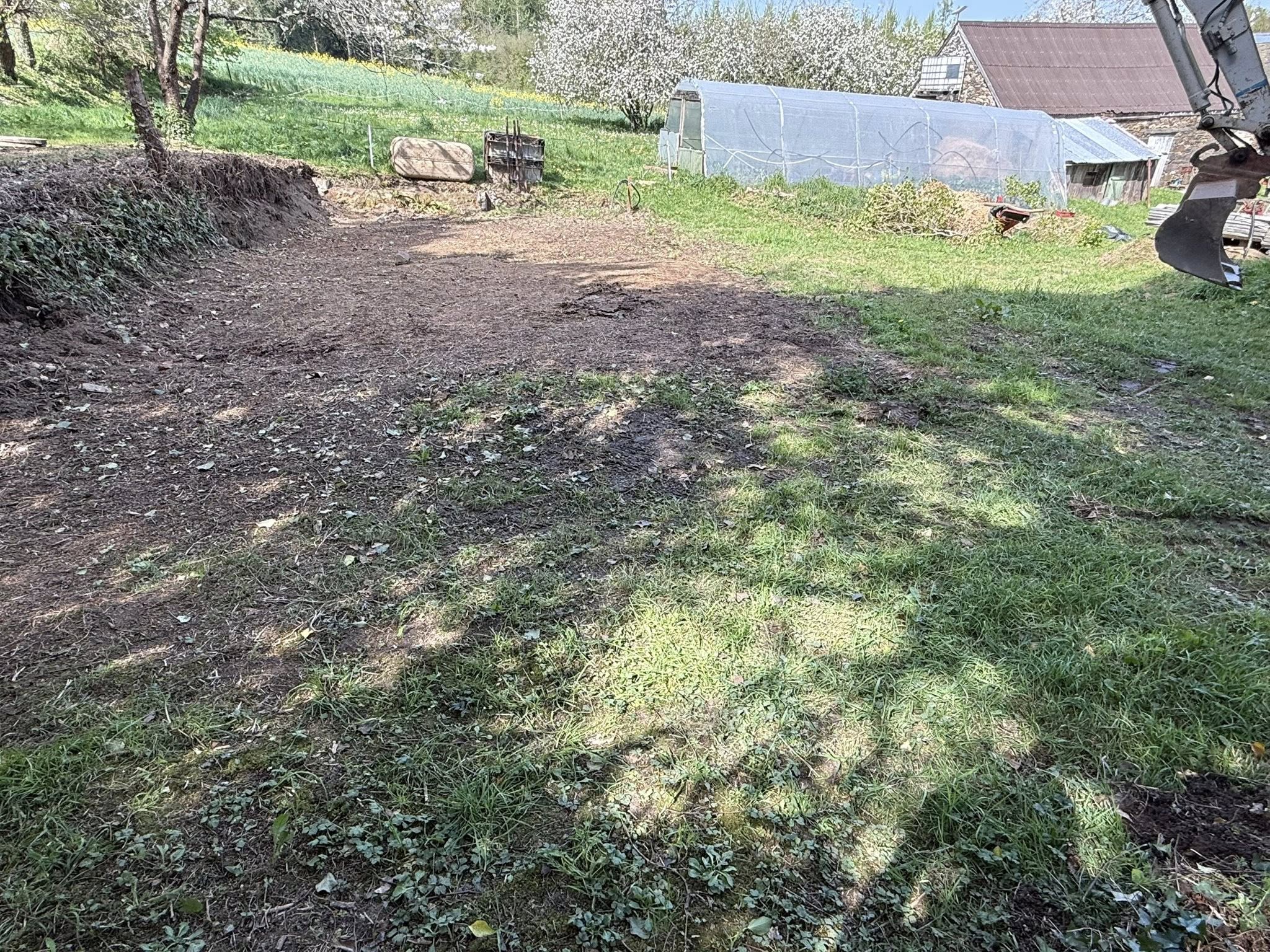 before-image